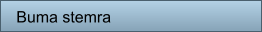Buma stemra