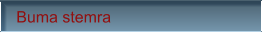 Buma stemra